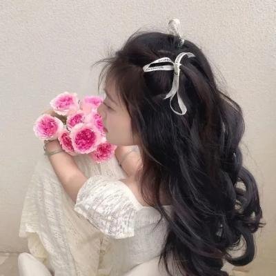 多米娜第一季